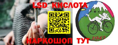 прущие грибы Пыть-Ях
