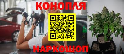 прущие грибы Пыть-Ях