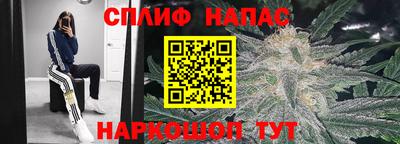 прущие грибы Пыть-Ях