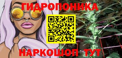 скорость Пушкино
